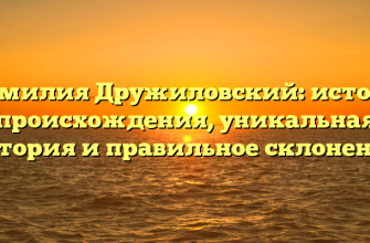Фамилия Дружиловский: истоки происхождения, уникальная история и правильное склонение