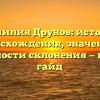 Фамилия Друнов: история происхождения, значение и особенности склонения — полный гайд