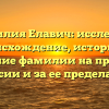 Фамилия Елавич: исследуем происхождение, историю и склонение фамилии на просторах России и за ее пределами
