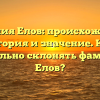 Фамилия Елов: происхождение, история и значение. Как правильно склонять фамилию Елов?