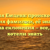Фамилия Емцева: происхождение и история фамилии, её значение и правила склонения — все, что вы хотели знать