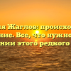 Фамилия Жаглов: происхождение и значение. Все, что нужно знать о склонении этого редкого имени