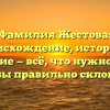 Фамилия Жестова: происхождение, история и значение — всё, что нужно знать, чтобы правильно склонять