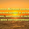 Фамилия Живых: исследуем происхождение и историю фамилии, значение и склонение для всех интересующихся