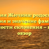 Фамилия Жичина: родословная, история и значение фамилии, особенности склонения — полный обзор