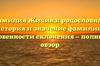 Фамилия Жичина: родословная, история и значение фамилии, особенности склонения — полный обзор