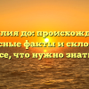 Фамилия до: происхождение, интересные факты и склонение — все, что нужно знать!