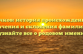 Гачков: история происхождения, значения и склонения фамилии — узнайте все о родовом имени