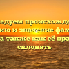 Исследуем происхождение, историю и значение фамилии Битин, а также как её правильно склонять