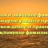 История и значение фамилии Бидуля: узнайте про происхождение и правильное склонение фамилии