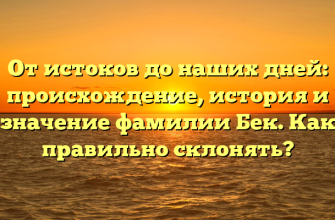 От истоков до наших дней: происхождение, история и значение фамилии Бек. Как правильно склонять?