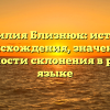 Фамилия Близнюк: история происхождения, значение и особенности склонения в русском языке