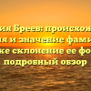 Фамилия Бреев: происхождение, история и значение фамилии, а также склонение ее форм — подробный обзор