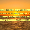 Фамилия Више: происхождение, значение и история, а также правильное склонение имени в иностранных языках