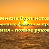 Фамилия Вурп: истоки, интересные факты и правила склонения – полное руководство