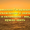 Фамилия Гагаузские: происхождение и значение, история и склонение – все, что вам нужно знать