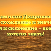 Фамилия Дидрихсон: происхождение и значения, история и склонение — все, что вы хотели знать!